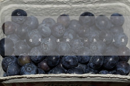 信用卡逾期 公安不立案6 信用卡逾期 公安不立案6